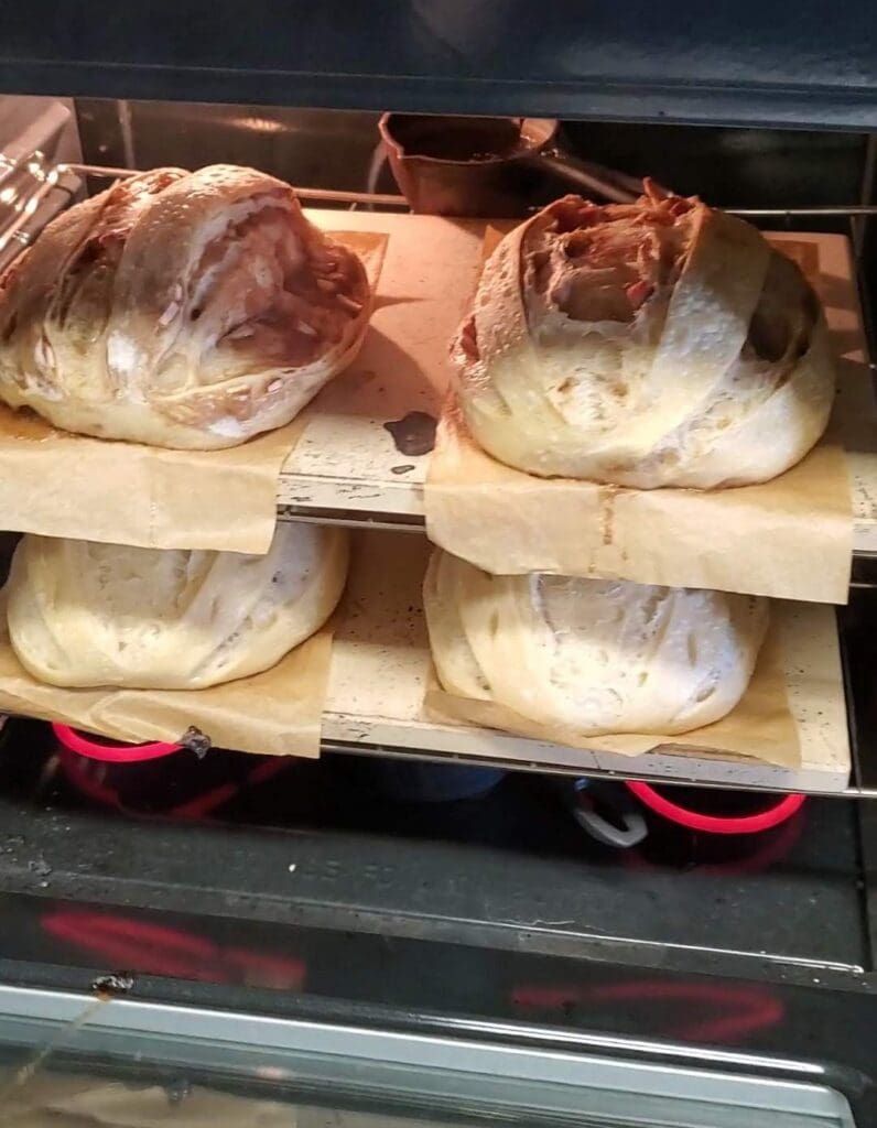 open baking sourdough loaves in a kitchen oven