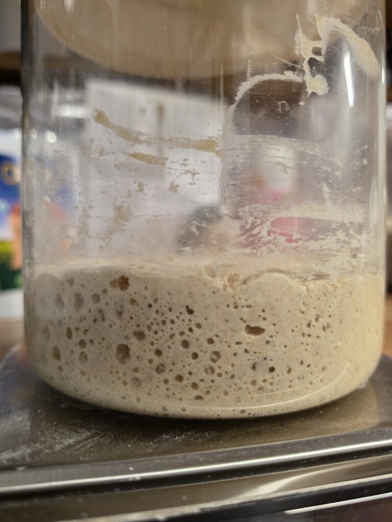 active sourdough starter