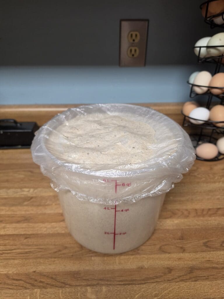 Plastic-wrapped container of dough on countertop