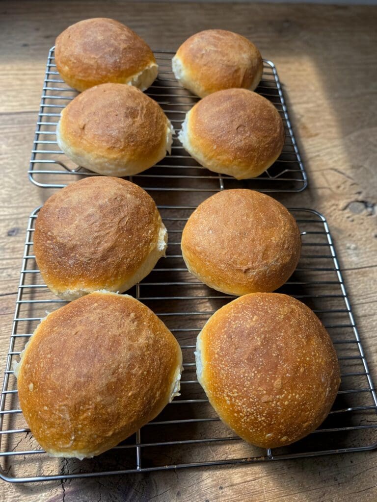 sourdough hamburger buns cooling